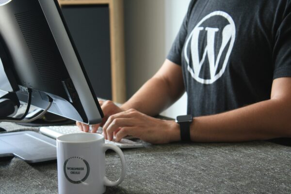 WordPress Plugin Vulnerability